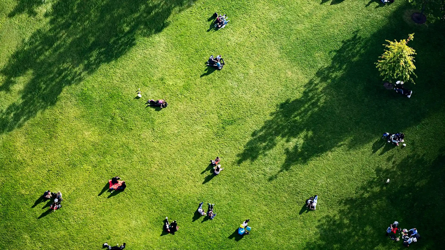 Persone in uno spazio urbano verde viste dall’alto