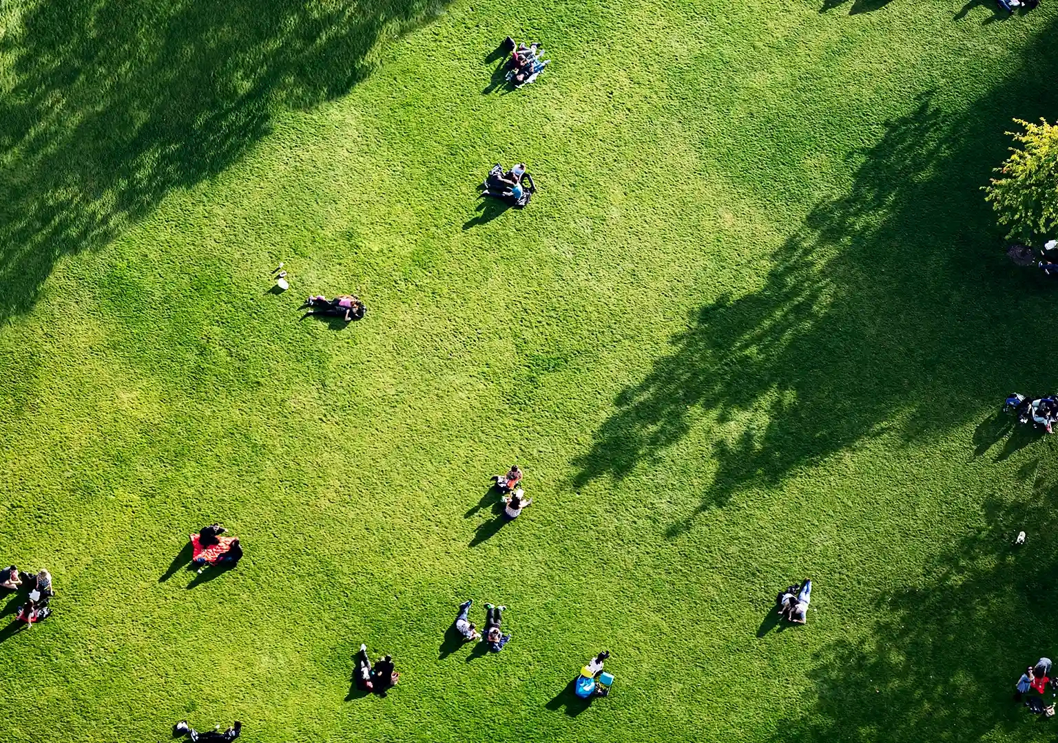 Persone in uno spazio urbano verde viste dall’alto