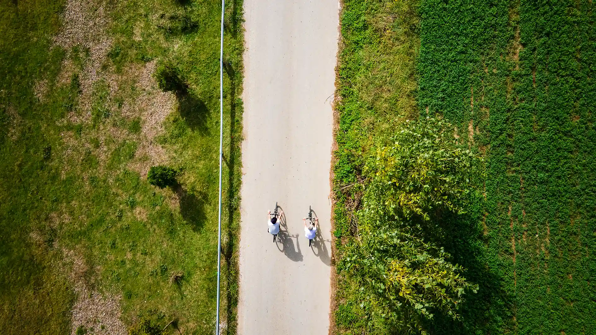 Top view of a road between natural and urban elements